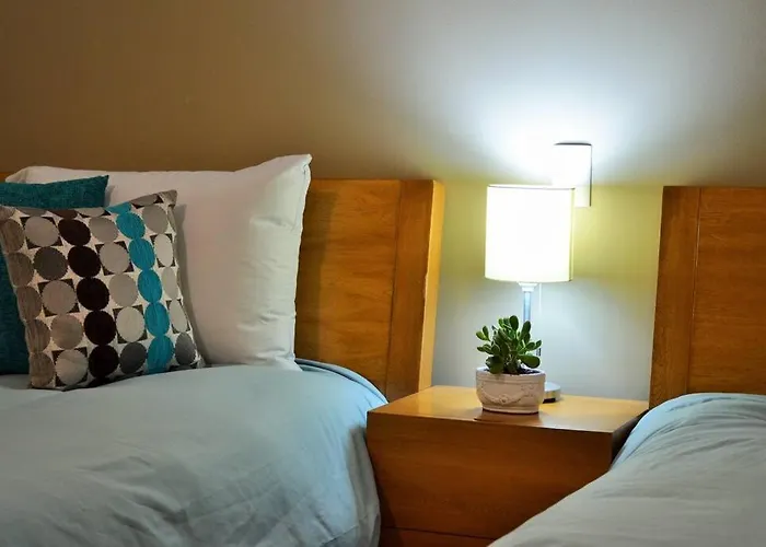 Spacious & Bright In Beautiful Colonia Roma Apartment Mexico City