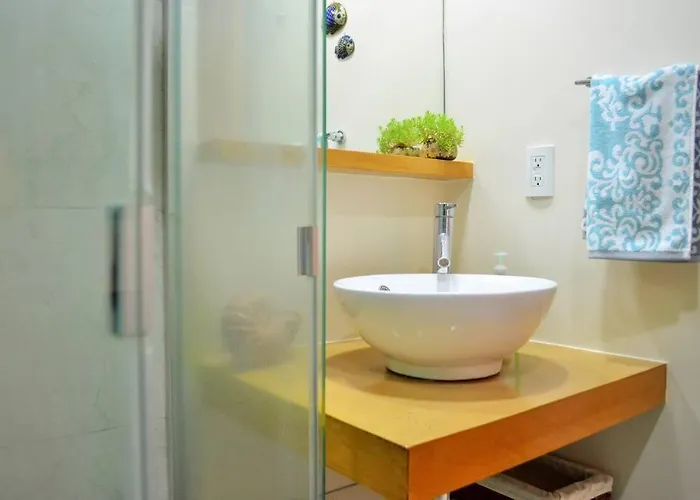 Apartment Spacious & Bright In Beautiful Colonia Roma