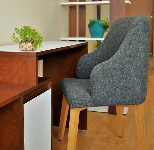 Spacious & Bright In Beautiful Colonia Roma