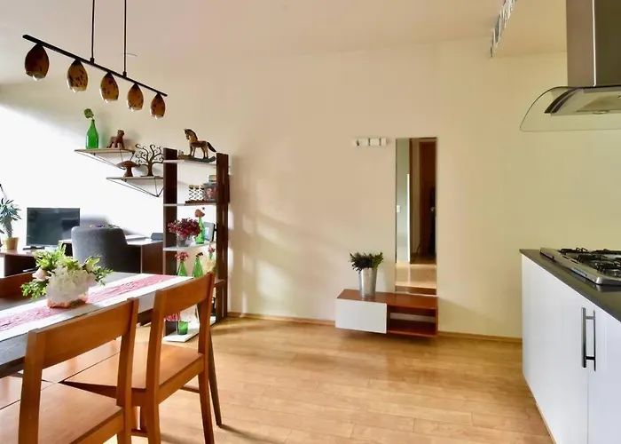 Spacious & Bright In Beautiful Colonia Roma Apartment