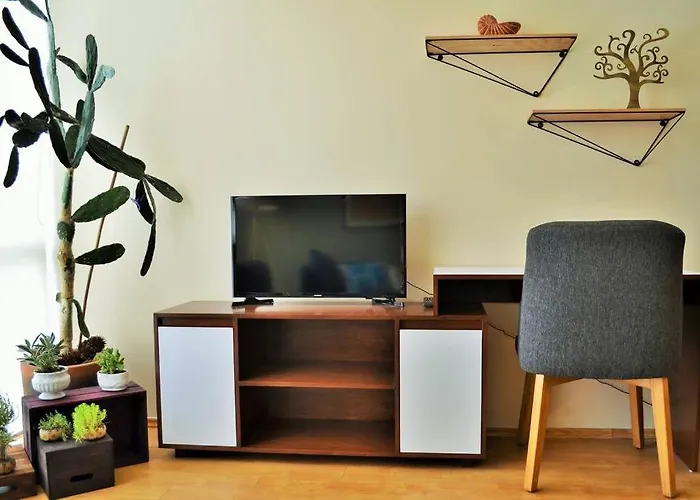 Apartment Spacious & Bright In Beautiful Colonia Roma